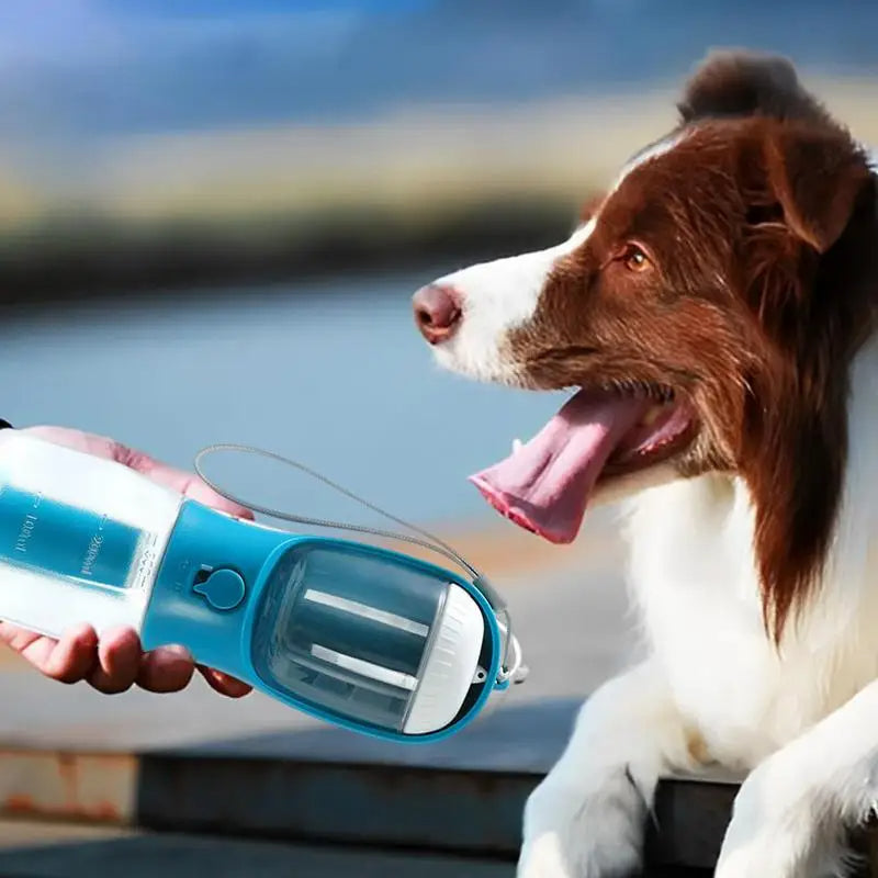 The Zooty™ 3-in-1 Wanderlust Flask