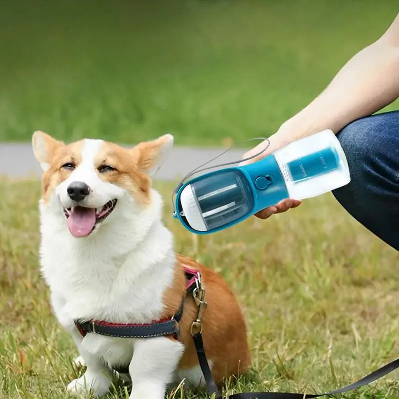 The Zooty™ 3-in-1 Wanderlust Flask